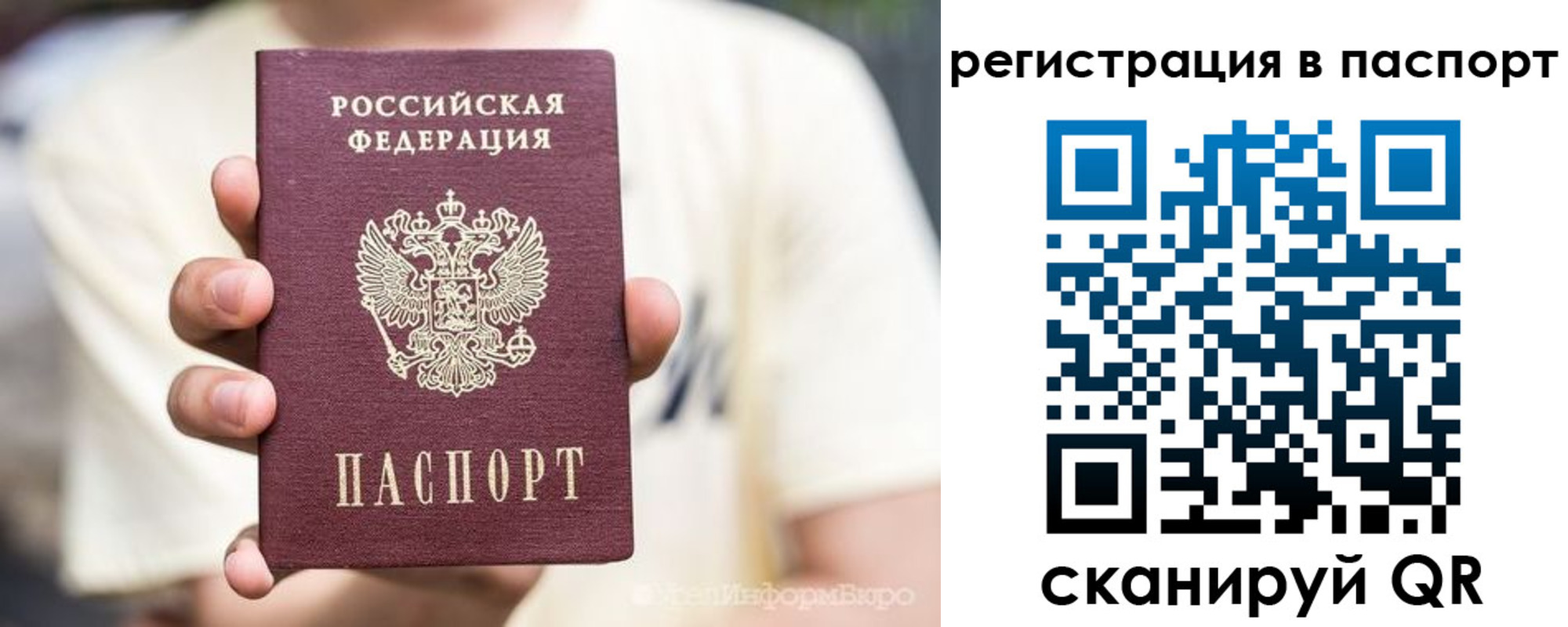временная регистрация поиск в Мончегорске