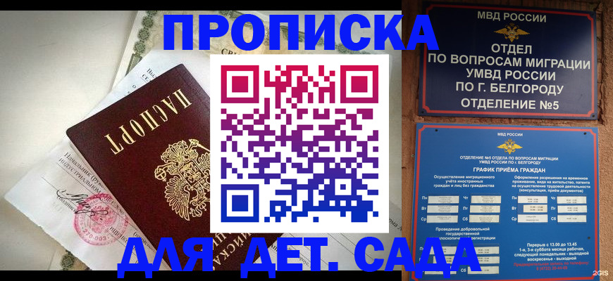 временная регистрация адрес в Мончегорске